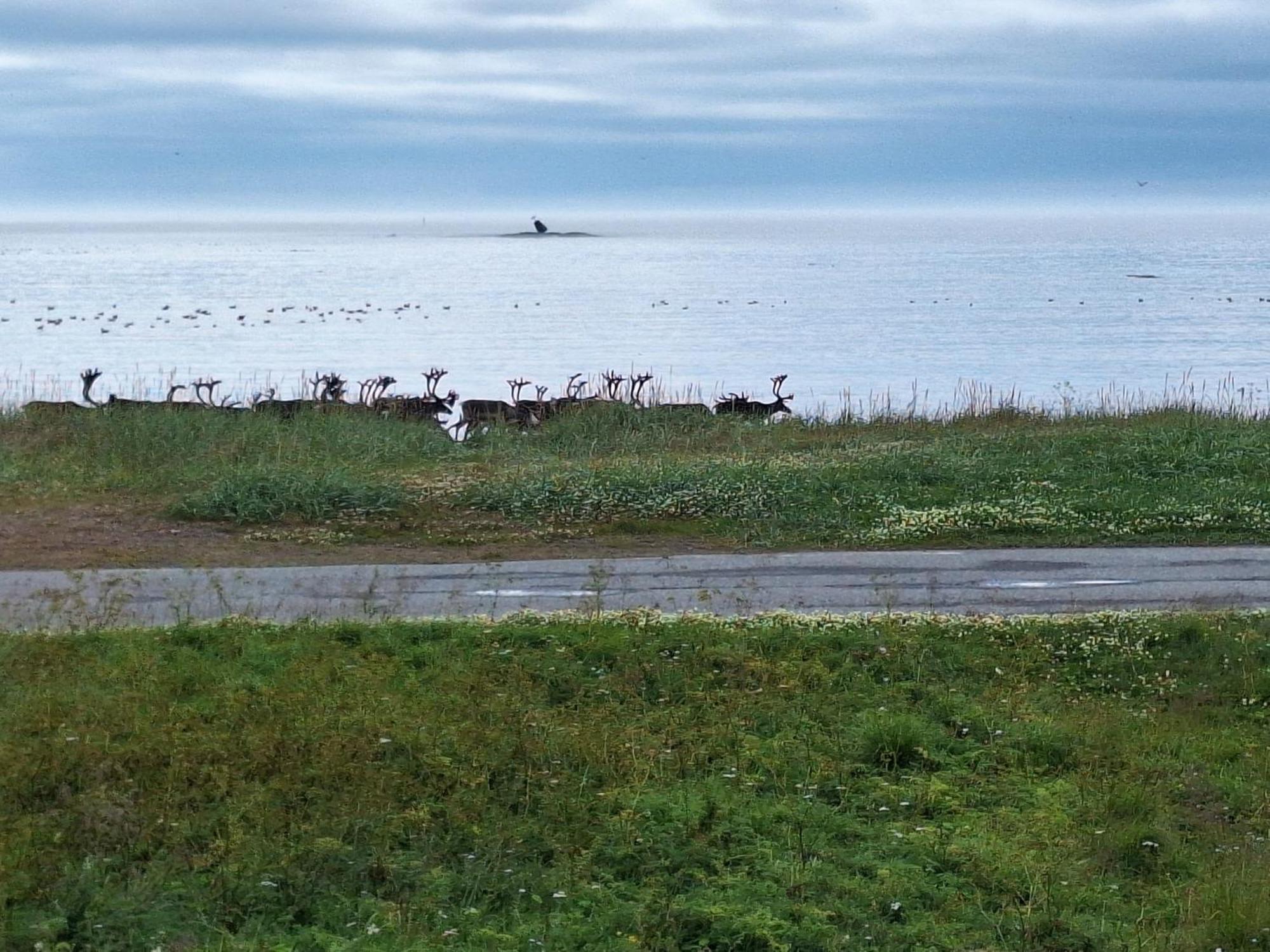 Holiday home Ved Barentshavet - By The Barents Sea Ytre Kiberg