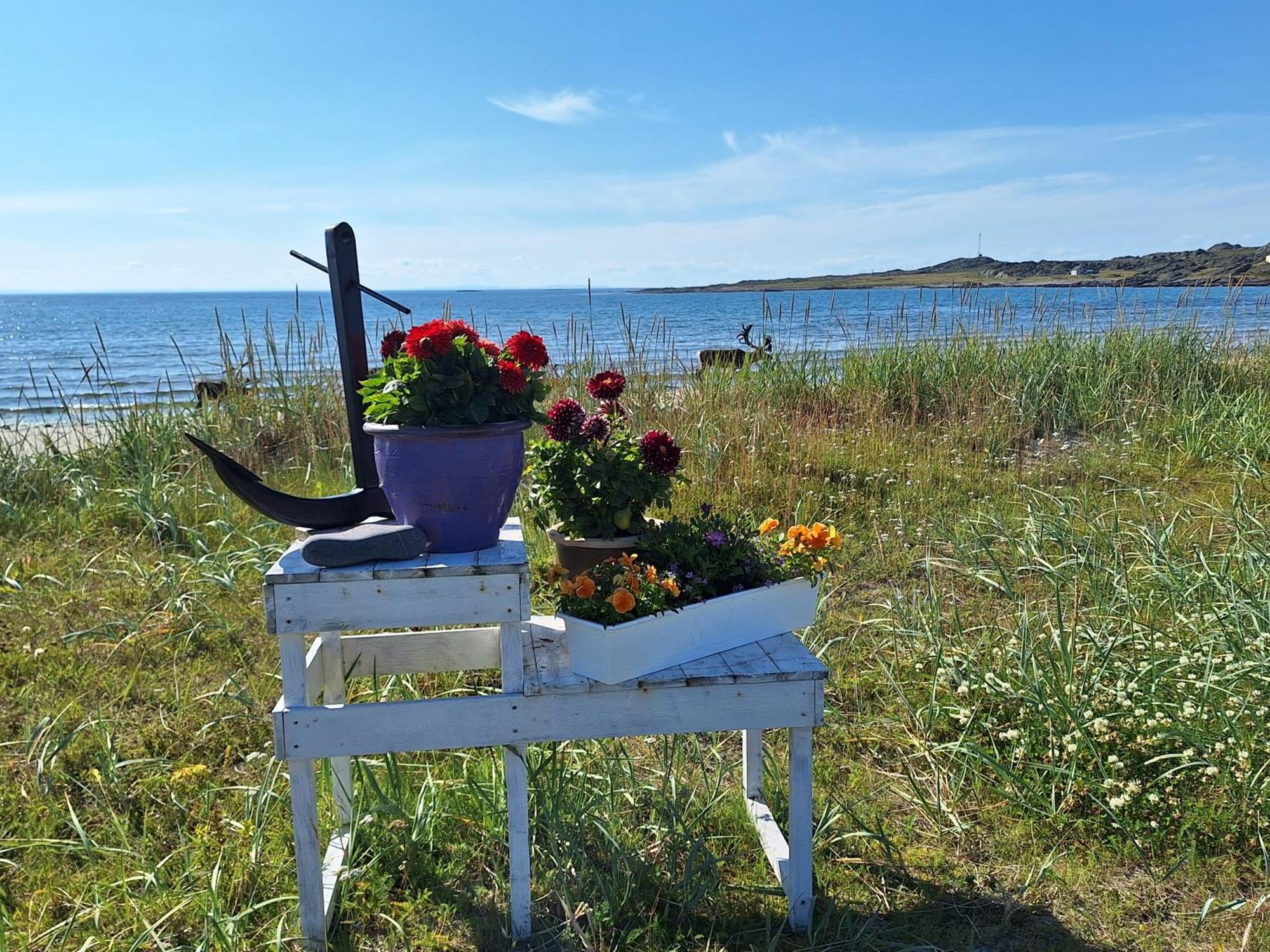 Ved Barentshavet - By The Barents Sea Ytre Kiberg